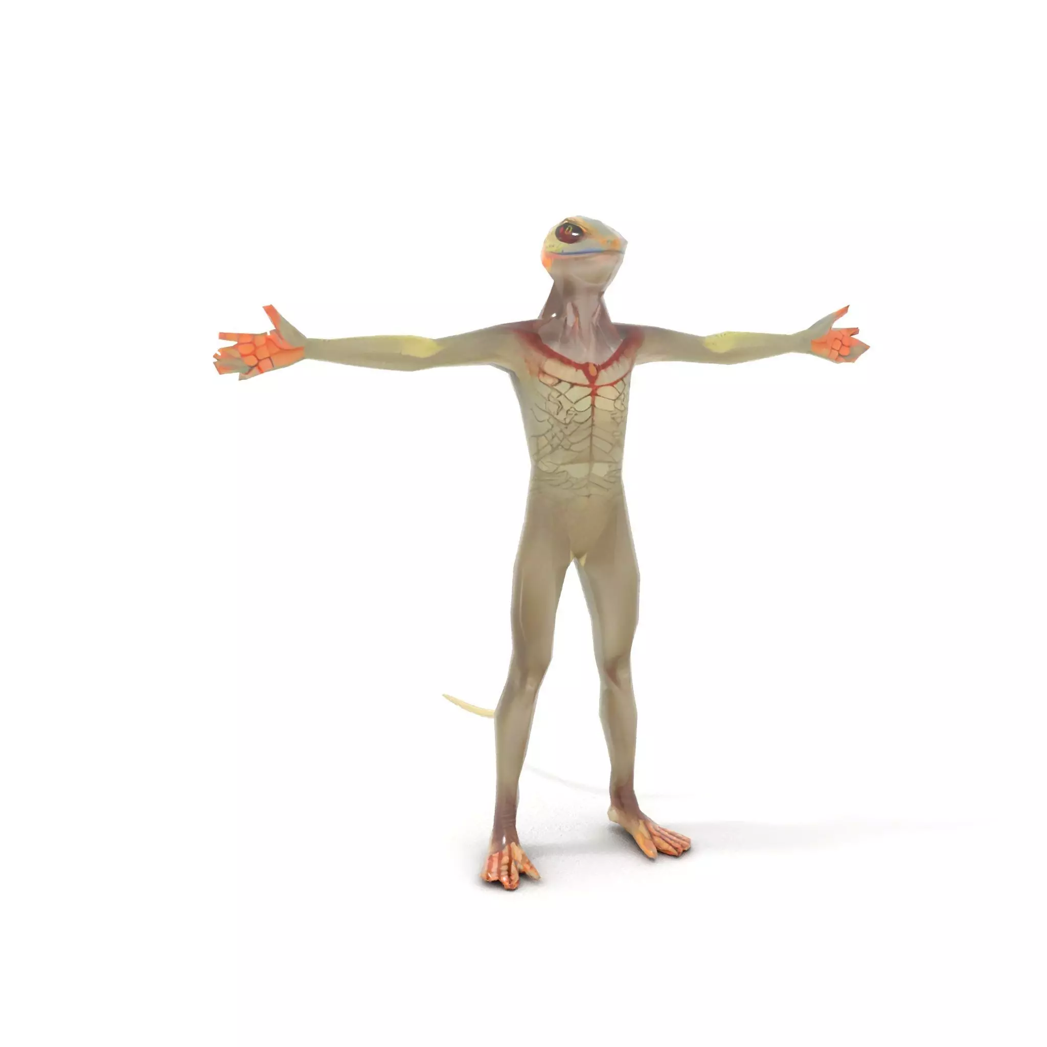 Anthropomorphic Lizard Model Pack for Game and Animation Low-poly 3D model_11