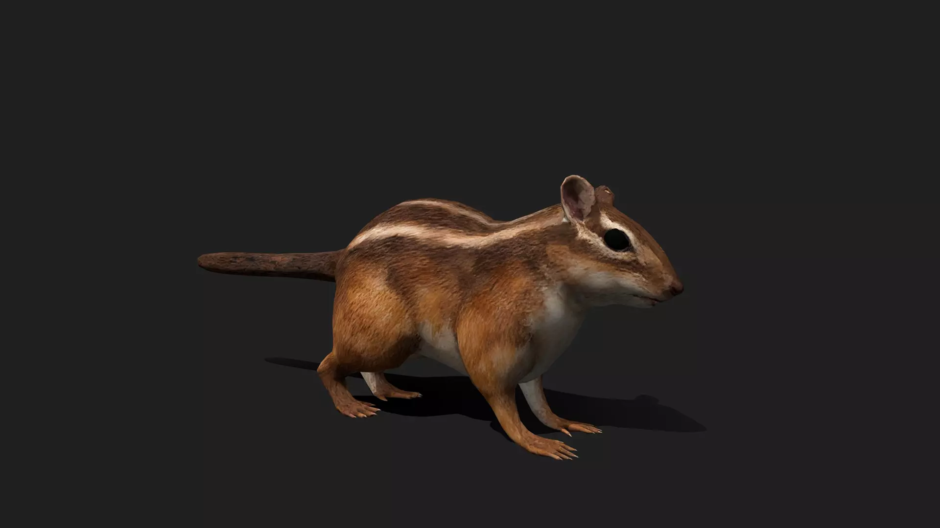 ULTIMATE 3D ANIMAL PACK - 70 percent OFF - All Models Included Low-poly 3D model_20