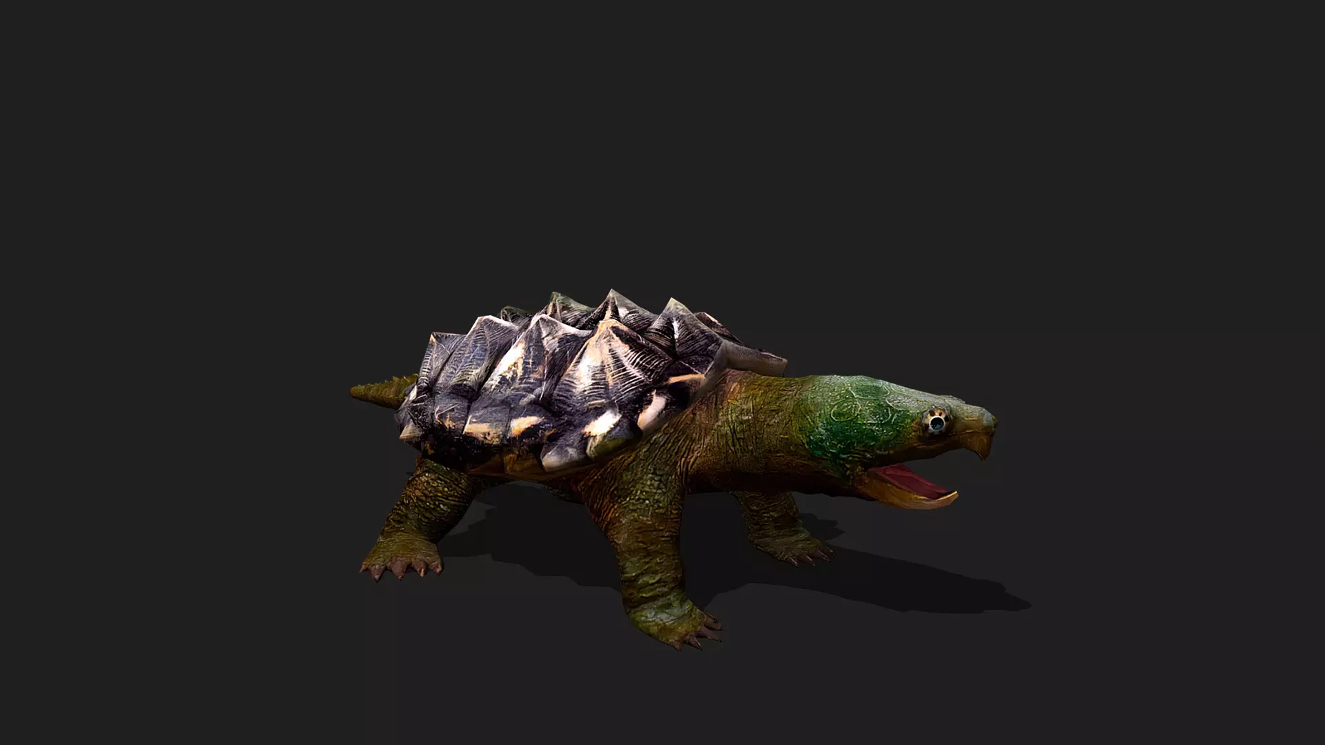 ULTIMATE 3D ANIMAL PACK - 70 percent OFF - All Models Included Low-poly 3D model_65