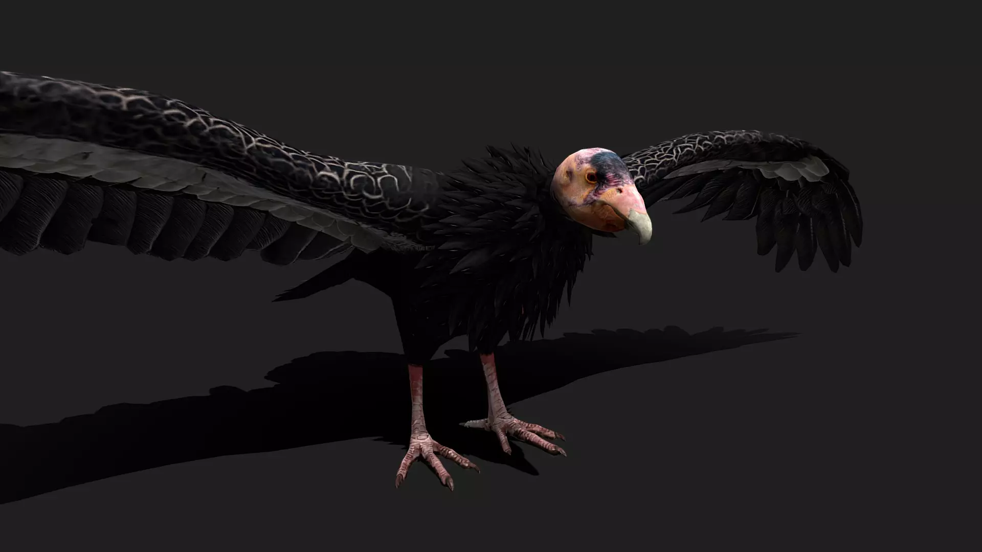 ULTIMATE 3D ANIMAL PACK - 70 percent OFF - All Models Included Low-poly 3D model_21