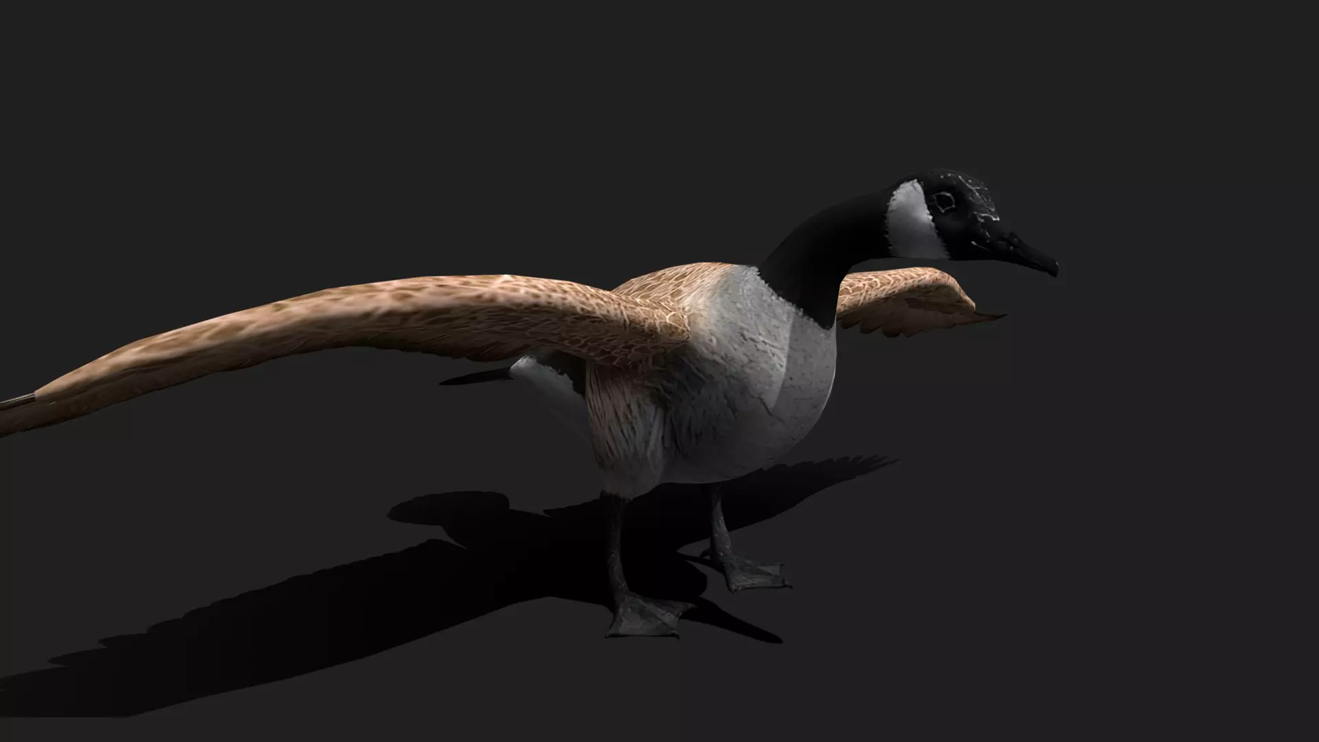 ULTIMATE 3D ANIMAL PACK - 70 percent OFF - All Models Included Low-poly 3D model_40