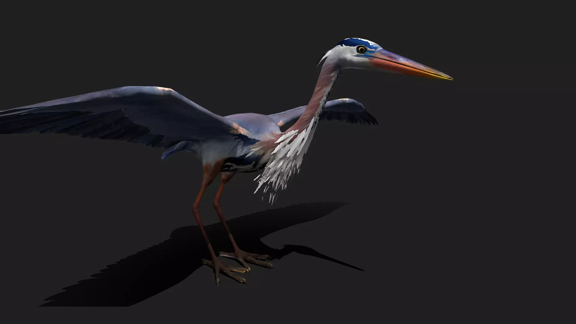 ULTIMATE 3D ANIMAL PACK - 70 percent OFF - All Models Included Low-poly 3D model_44