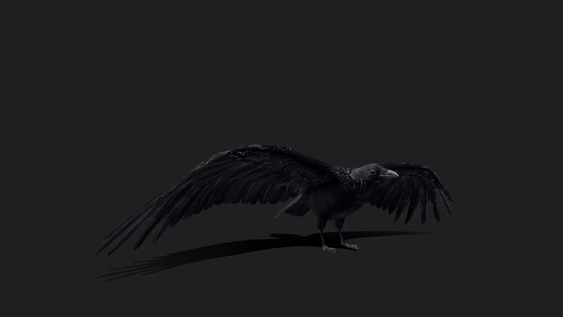 ULTIMATE 3D ANIMAL PACK - 70 percent OFF - All Models Included Low-poly 3D model_23