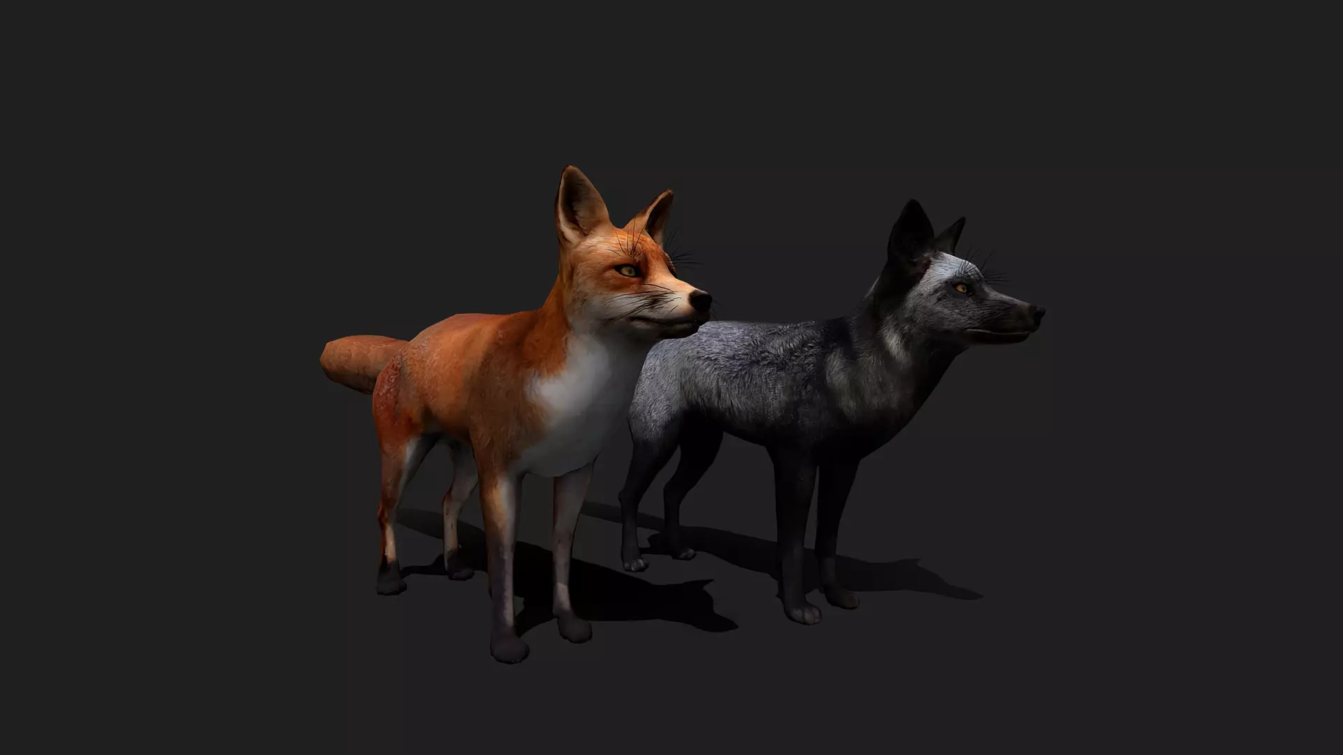ULTIMATE 3D ANIMAL PACK - 70 percent OFF - All Models Included Low-poly 3D model_38