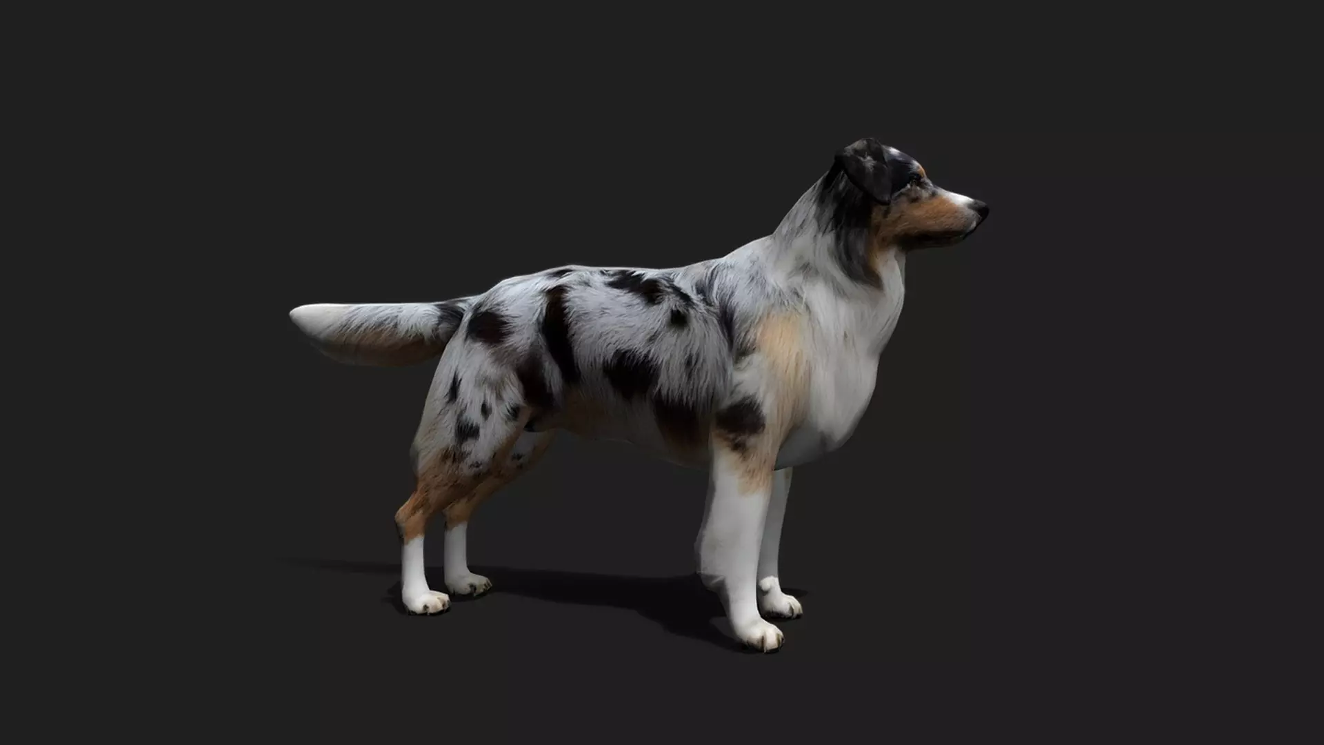 ULTIMATE 3D ANIMAL PACK - 70 percent OFF - All Models Included Low-poly 3D model_28