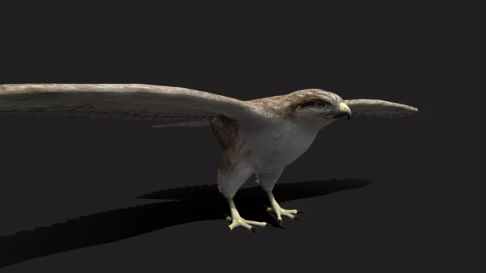 ULTIMATE 3D ANIMAL PACK - 70 percent OFF - All Models Included Low-poly 3D model_43