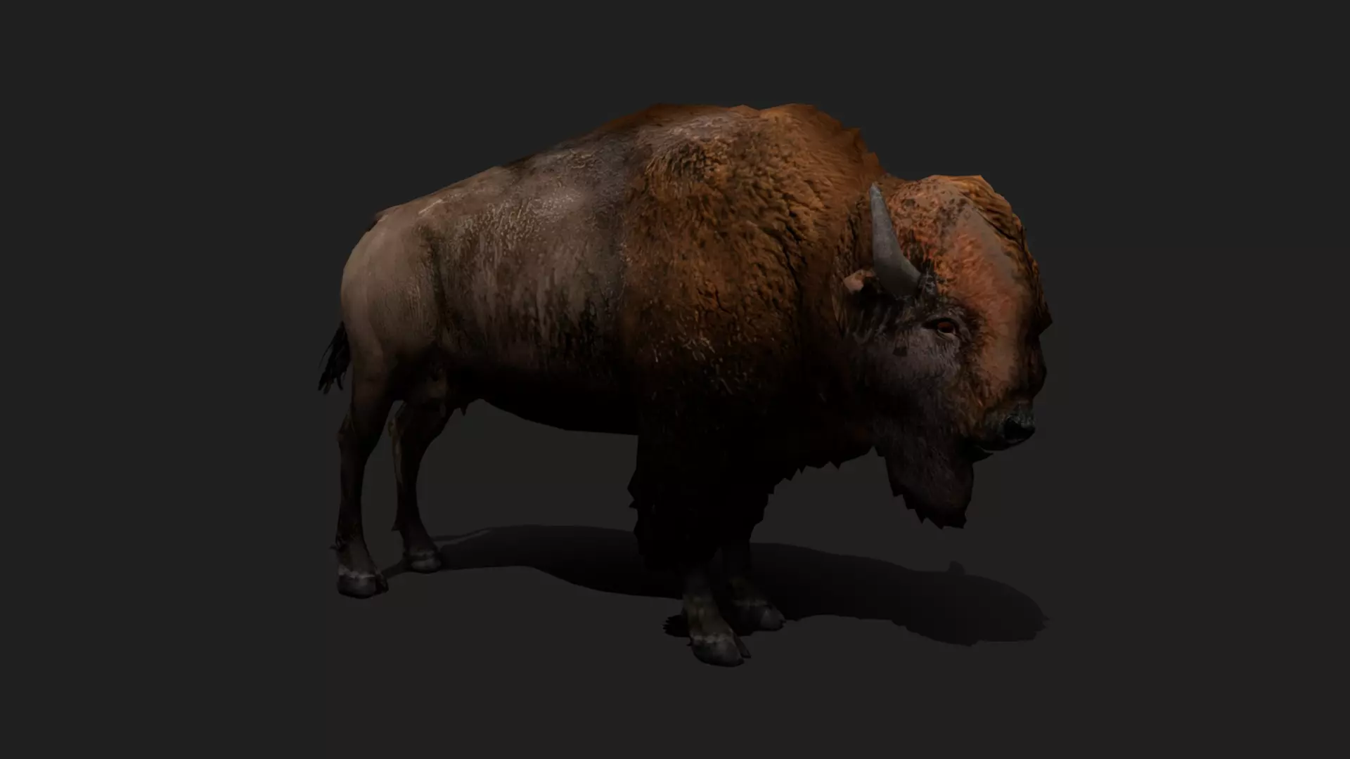 ULTIMATE 3D ANIMAL PACK - 70 percent OFF - All Models Included Low-poly 3D model_13