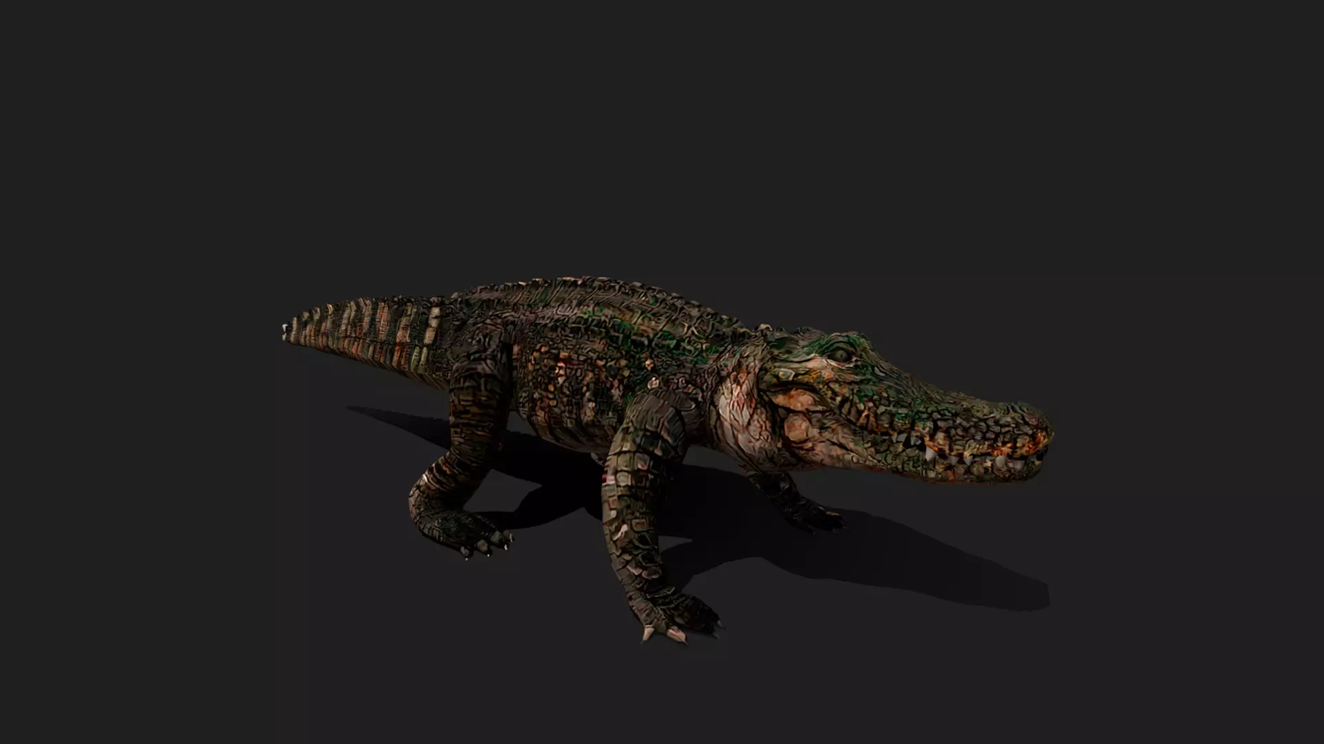 ULTIMATE 3D ANIMAL PACK - 70 percent OFF - All Models Included Low-poly 3D model_4