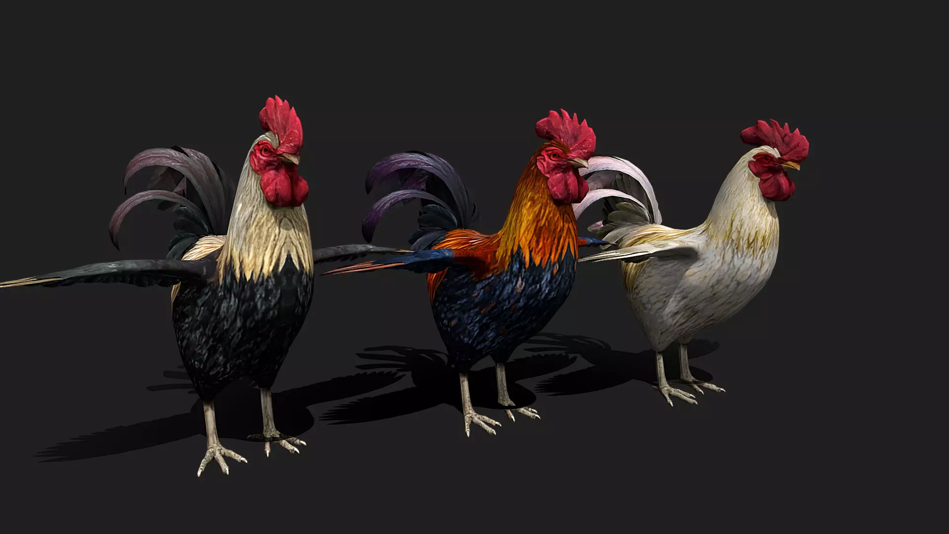 ULTIMATE 3D ANIMAL PACK - 70 percent OFF - All Models Included Low-poly 3D model_61