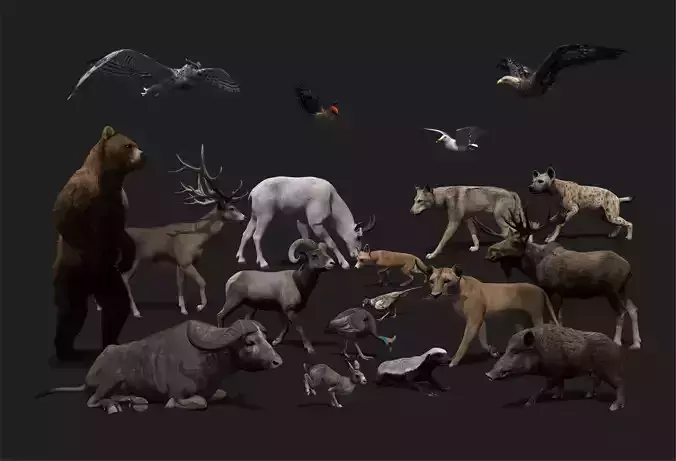 ULTIMATE 3D ANIMAL PACK - 70 percent OFF - All Models Included Low-poly 3D model