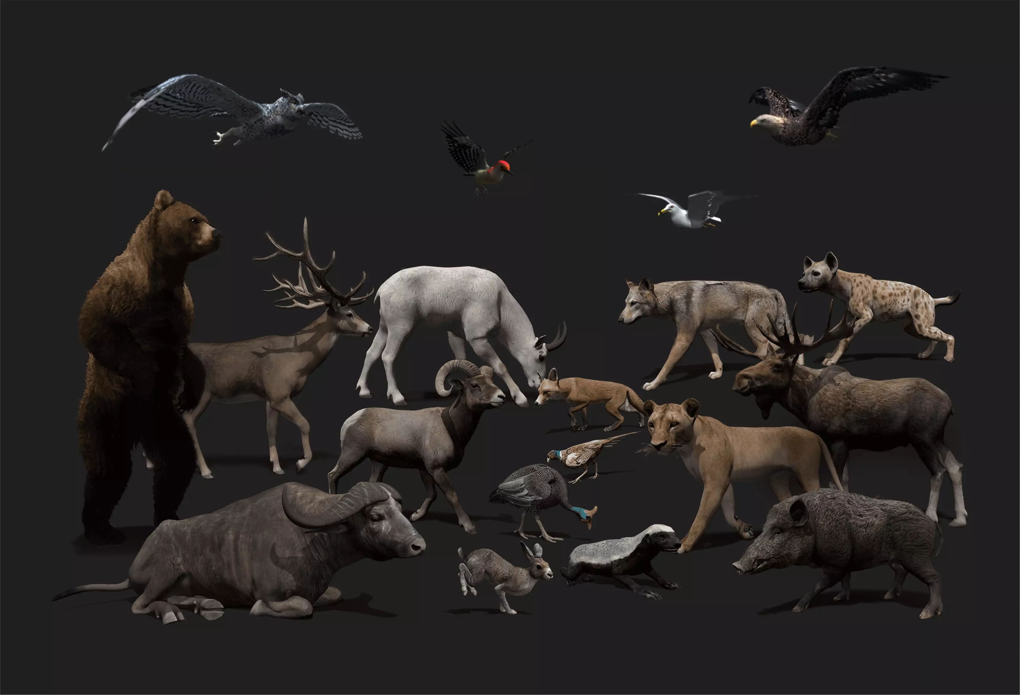 ULTIMATE 3D ANIMAL PACK - 70 percent OFF - All Models Included Low-poly 3D model_0