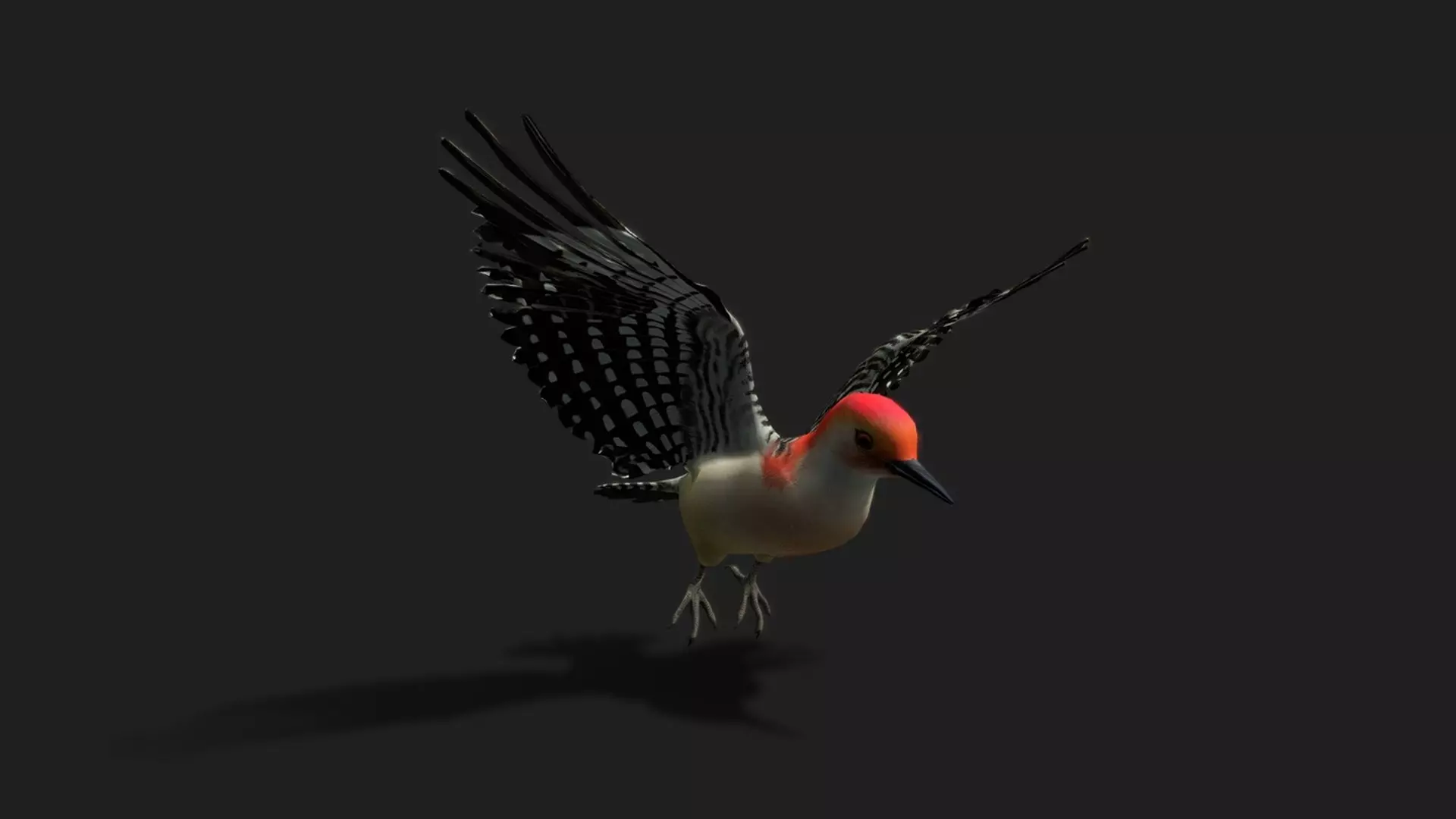 ULTIMATE 3D ANIMAL PACK - 70 percent OFF - All Models Included Low-poly 3D model_71