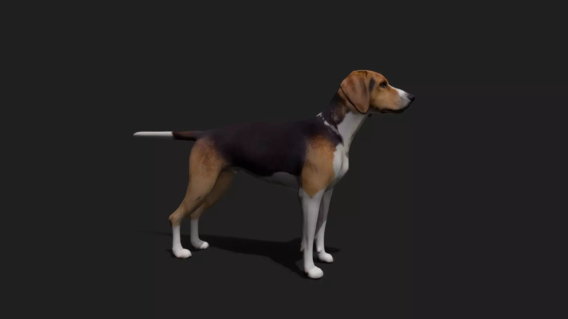 ULTIMATE 3D ANIMAL PACK - 70 percent OFF - All Models Included Low-poly 3D model_27