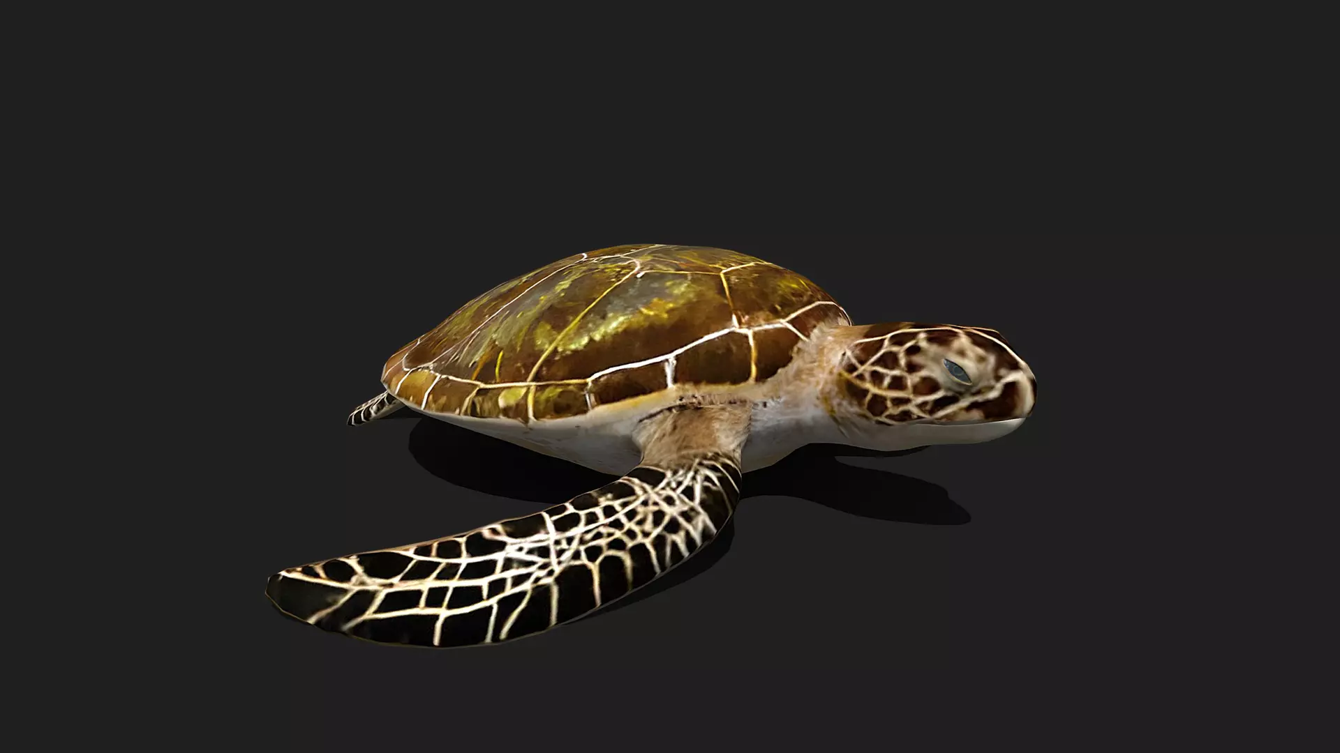 ULTIMATE 3D ANIMAL PACK - 70 percent OFF - All Models Included Low-poly 3D model_68