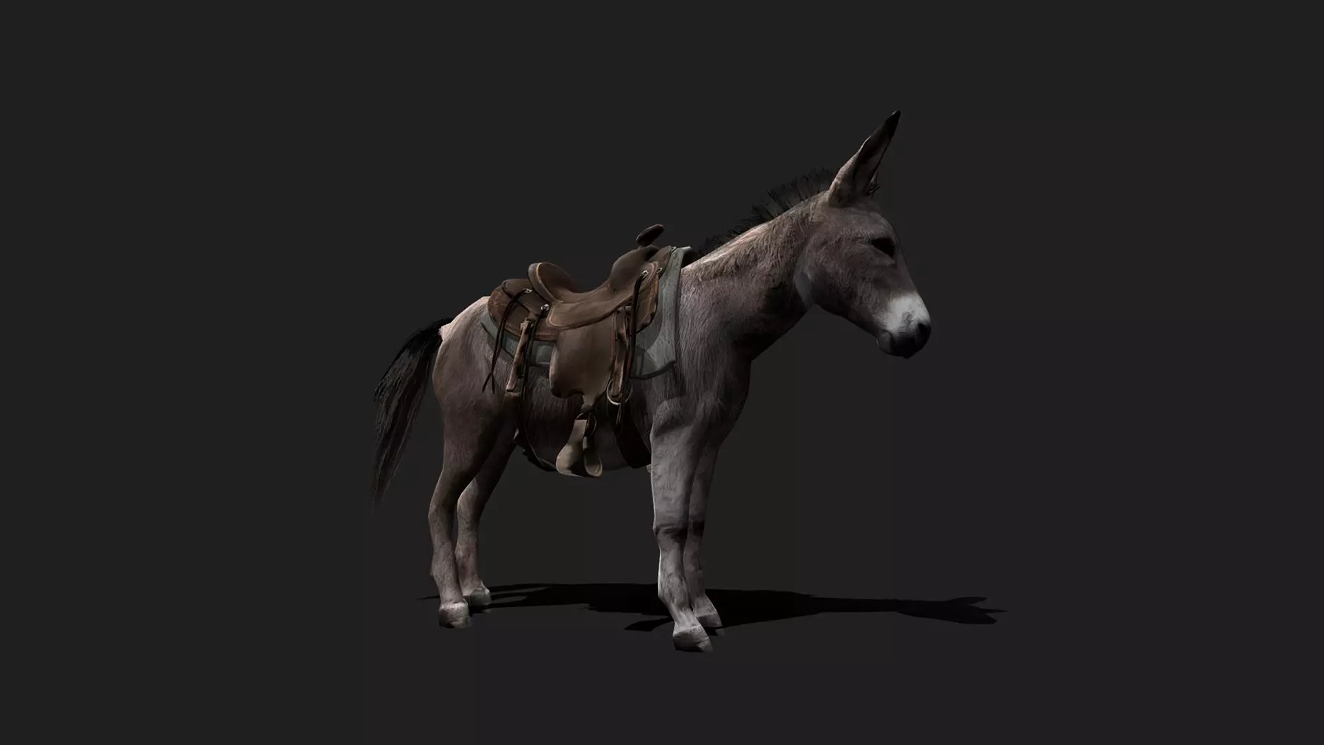 ULTIMATE 3D ANIMAL PACK - 70 percent OFF - All Models Included Low-poly 3D model_32