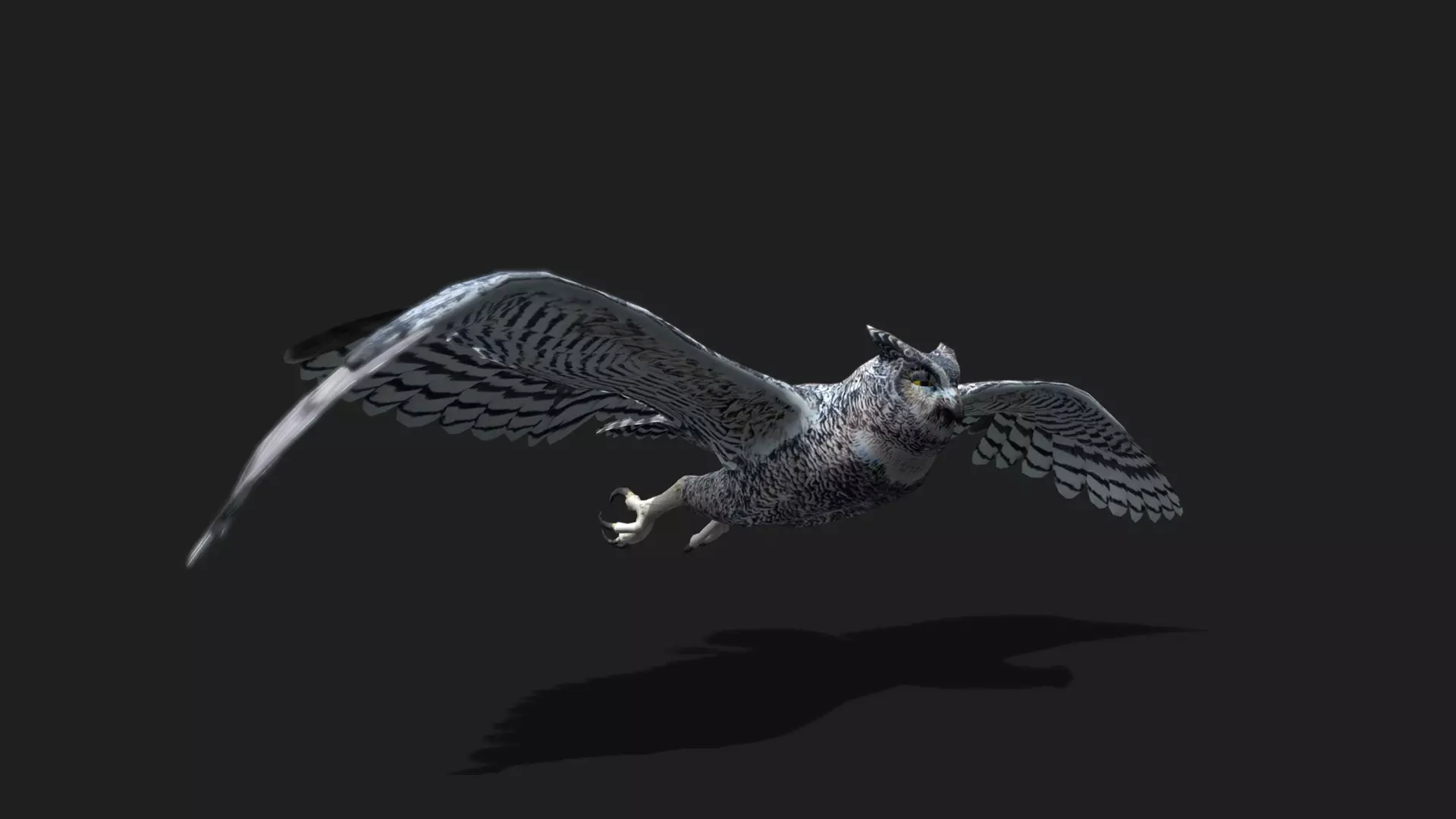 ULTIMATE 3D ANIMAL PACK - 70 percent OFF - All Models Included Low-poly 3D model_52