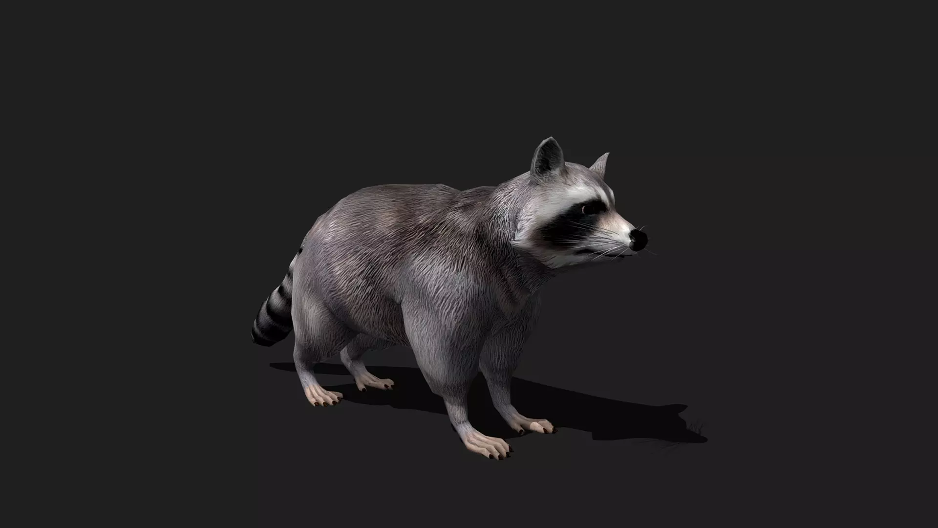 ULTIMATE 3D ANIMAL PACK - 70 percent OFF - All Models Included Low-poly 3D model_59