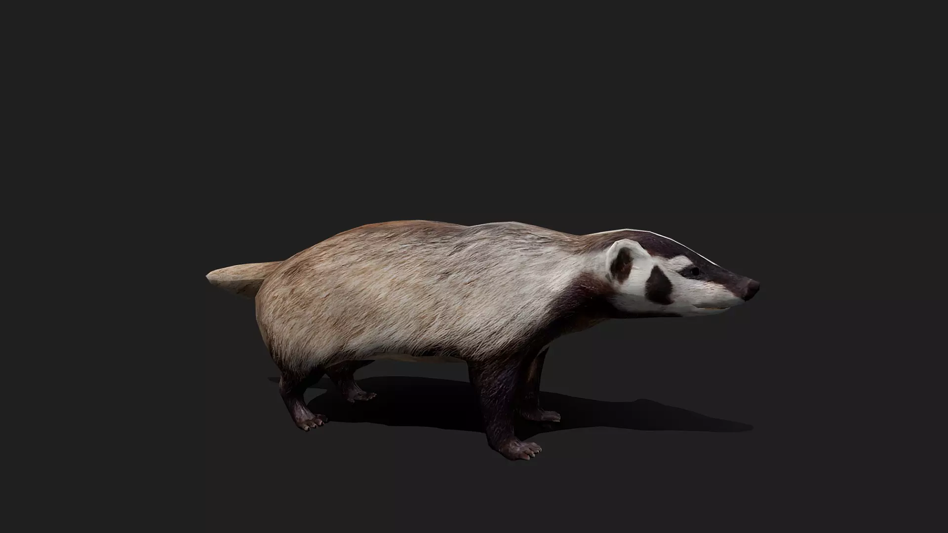 ULTIMATE 3D ANIMAL PACK - 70 percent OFF - All Models Included Low-poly 3D model_7