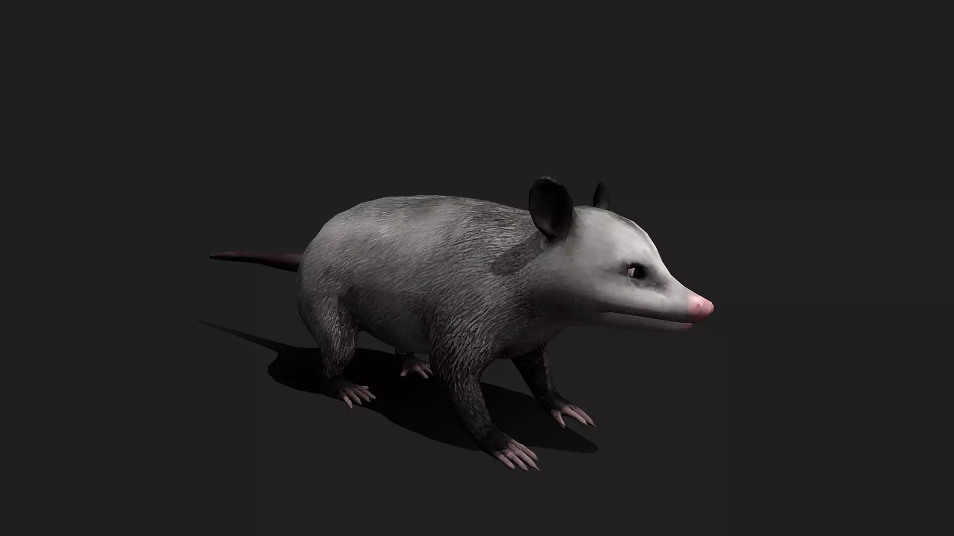 ULTIMATE 3D ANIMAL PACK - 70 percent OFF - All Models Included Low-poly 3D model_56