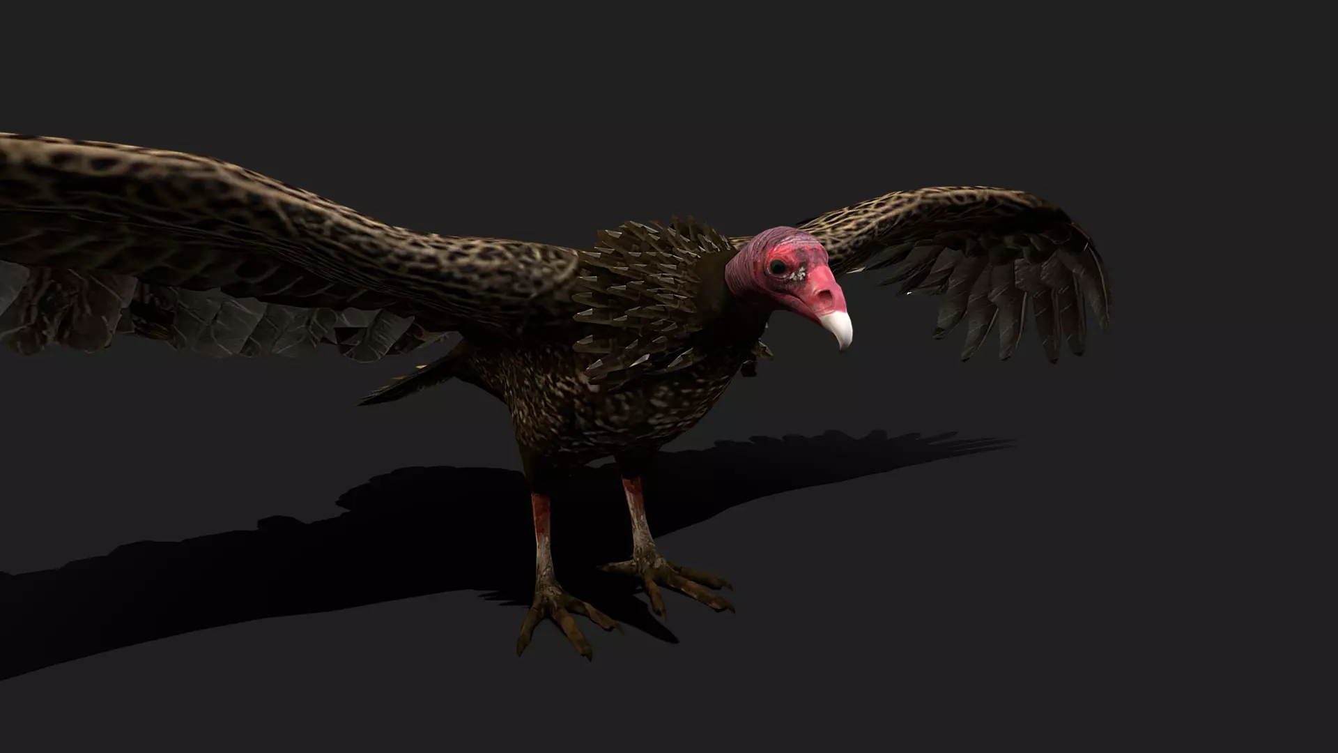 ULTIMATE 3D ANIMAL PACK - 70 percent OFF - All Models Included Low-poly 3D model_69