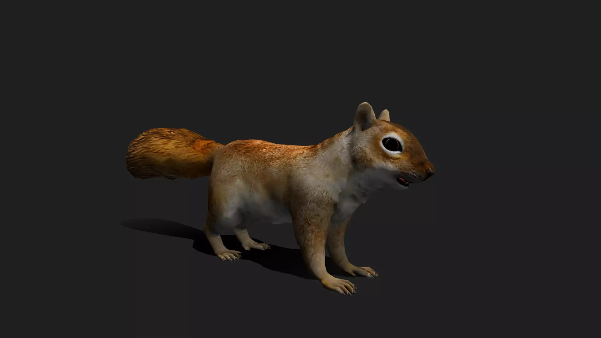 ULTIMATE 3D ANIMAL PACK - 70 percent OFF - All Models Included Low-poly 3D model_66