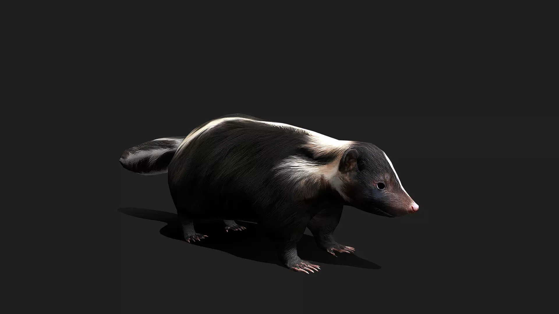 ULTIMATE 3D ANIMAL PACK - 70 percent OFF - All Models Included Low-poly 3D model_64