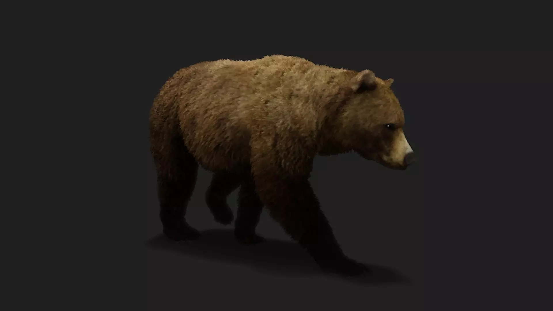 ULTIMATE 3D ANIMAL PACK - 70 percent OFF - All Models Included Low-poly 3D model_8