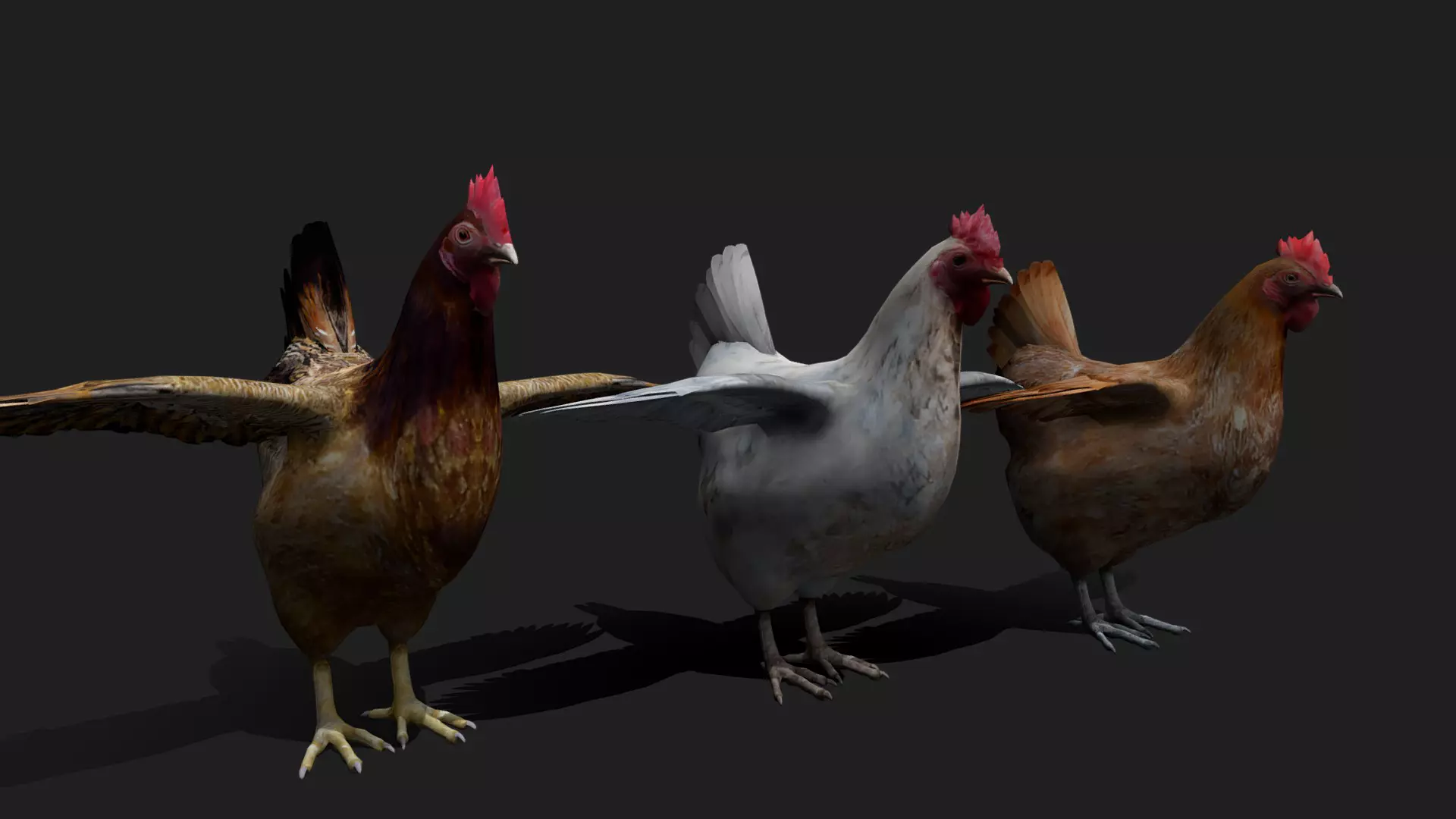 ULTIMATE 3D ANIMAL PACK - 70 percent OFF - All Models Included Low-poly 3D model_19