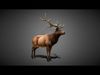 ULTIMATE 3D ANIMAL PACK - 70 percent OFF - All Models Included Low-poly 3D model_3