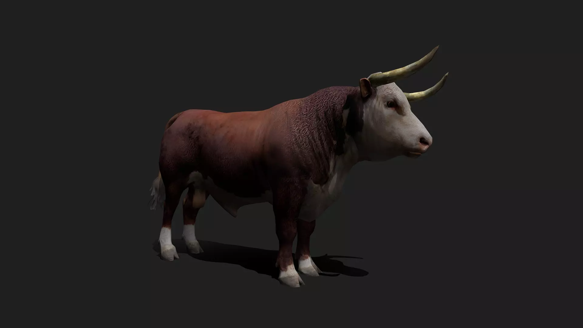 ULTIMATE 3D ANIMAL PACK - 70 percent OFF - All Models Included Low-poly 3D model_17