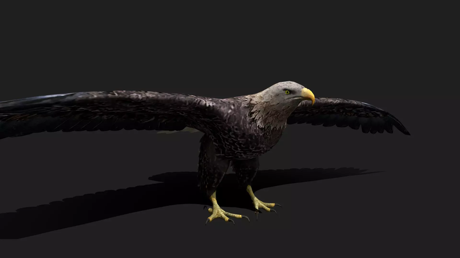 ULTIMATE 3D ANIMAL PACK - 70 percent OFF - All Models Included Low-poly 3D model_33