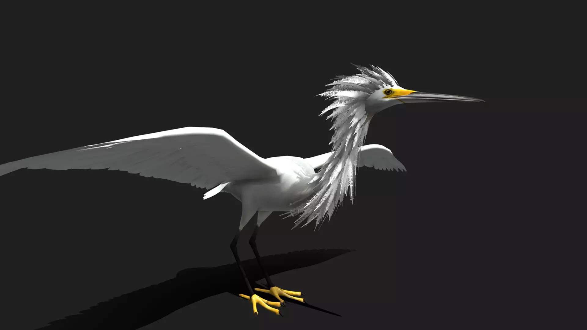 ULTIMATE 3D ANIMAL PACK - 70 percent OFF - All Models Included Low-poly 3D model_34