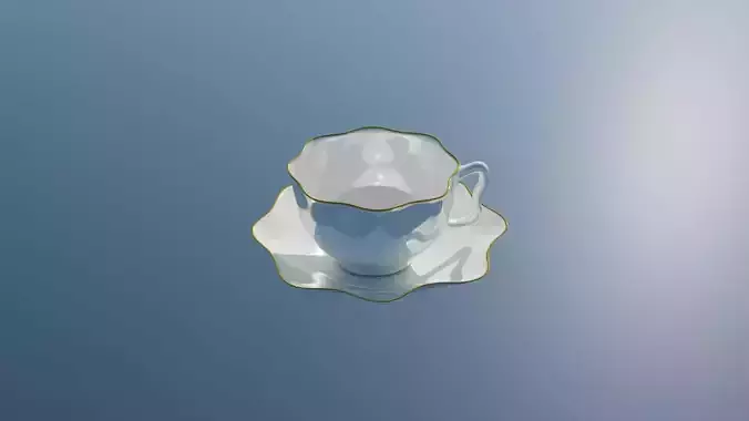 Classic Porcelain Tea Cup with Saucer and Gold Trim