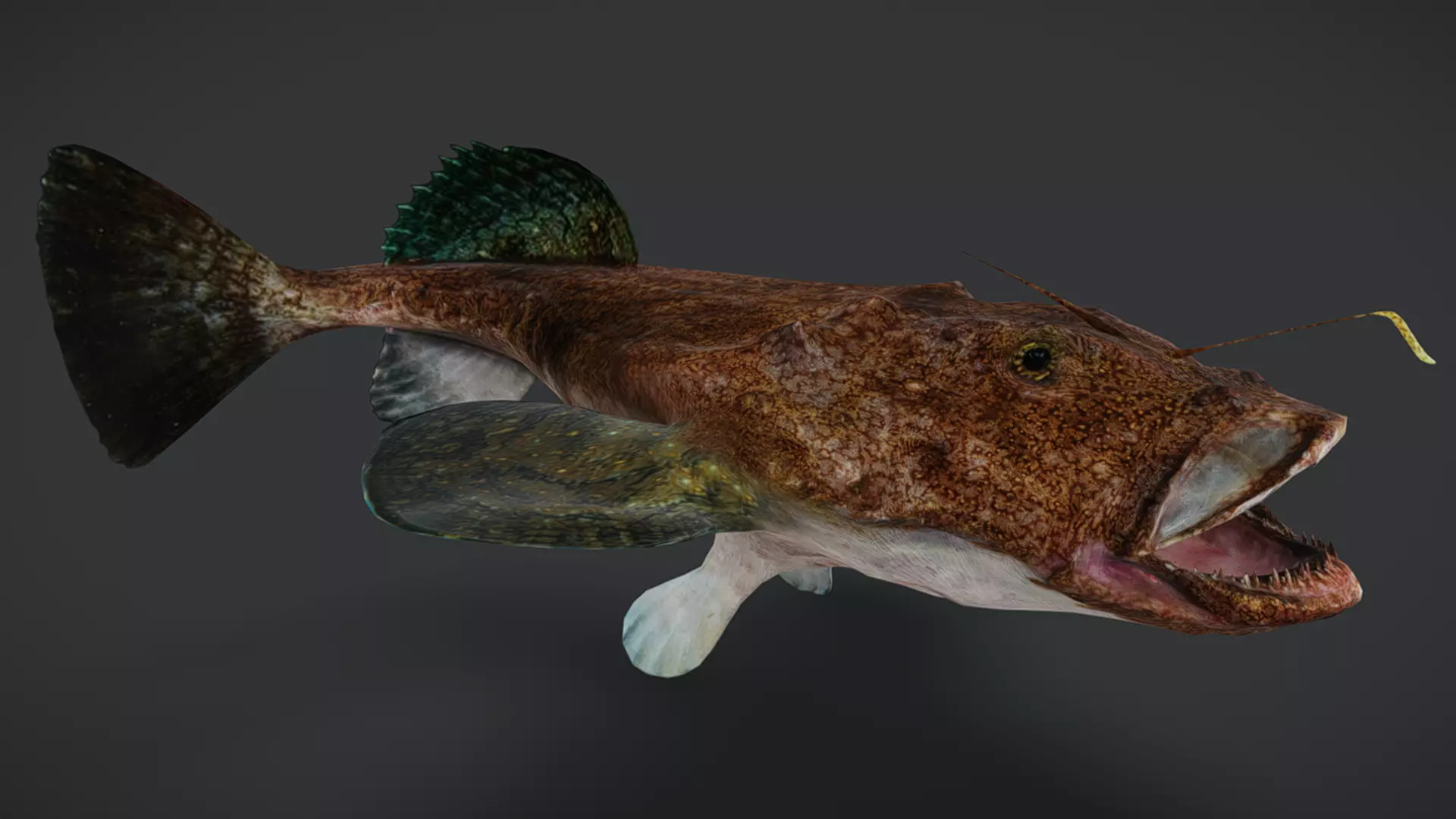 Predator Ocean Fish Collection 3D model_22