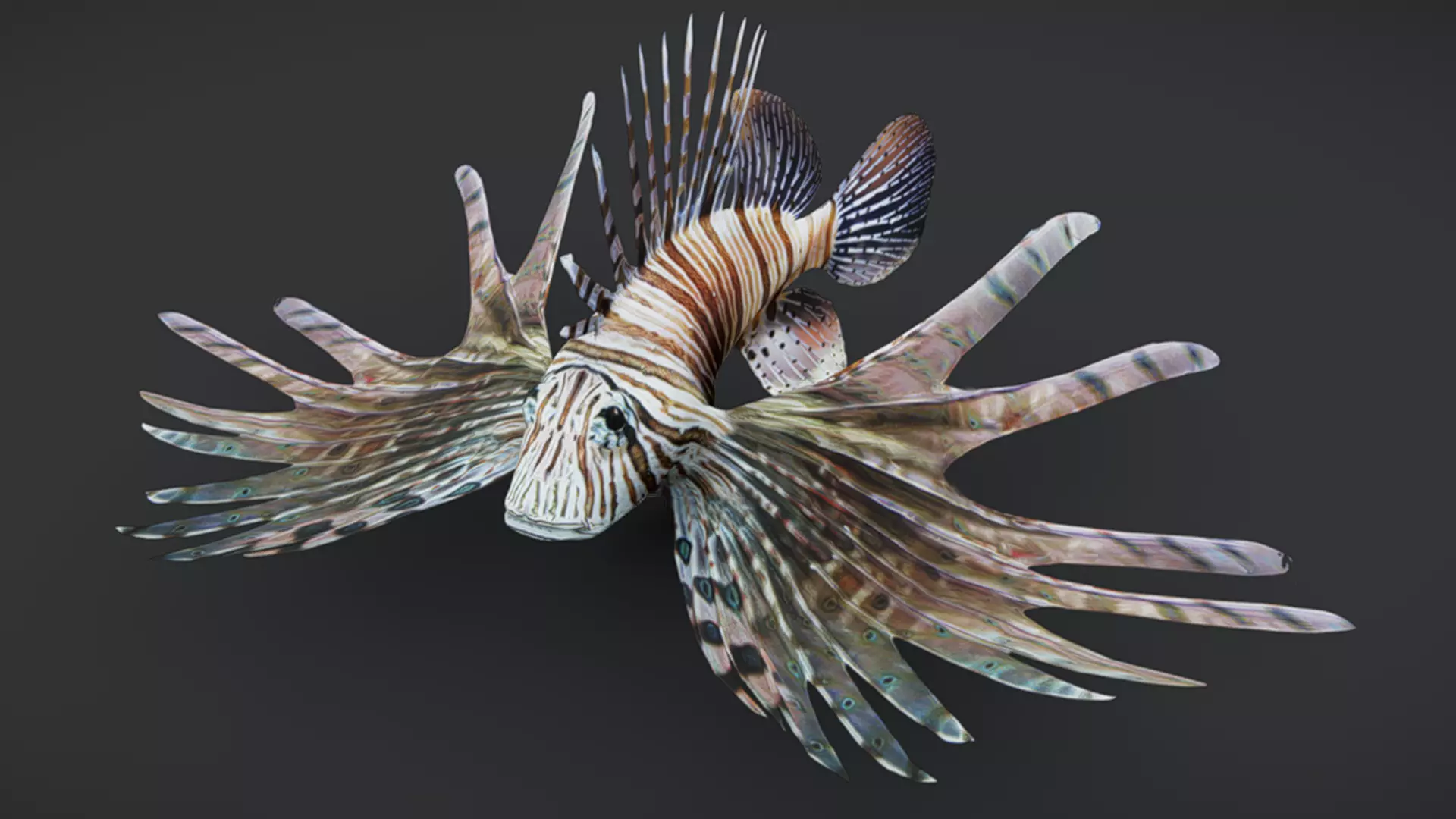 Predator Ocean Fish Collection 3D model_19