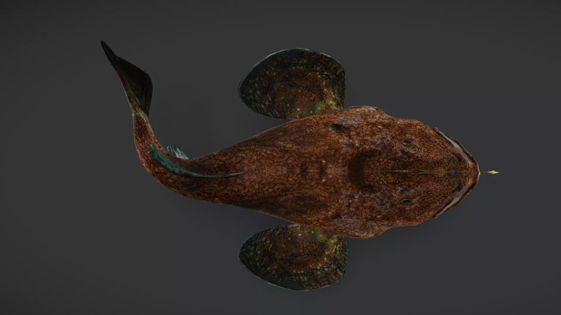 Predator Ocean Fish Collection 3D model_24