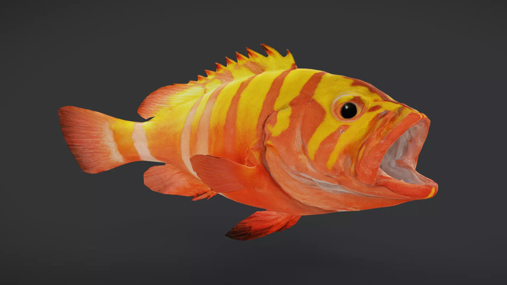 Predator Ocean Fish Collection 3D model_25