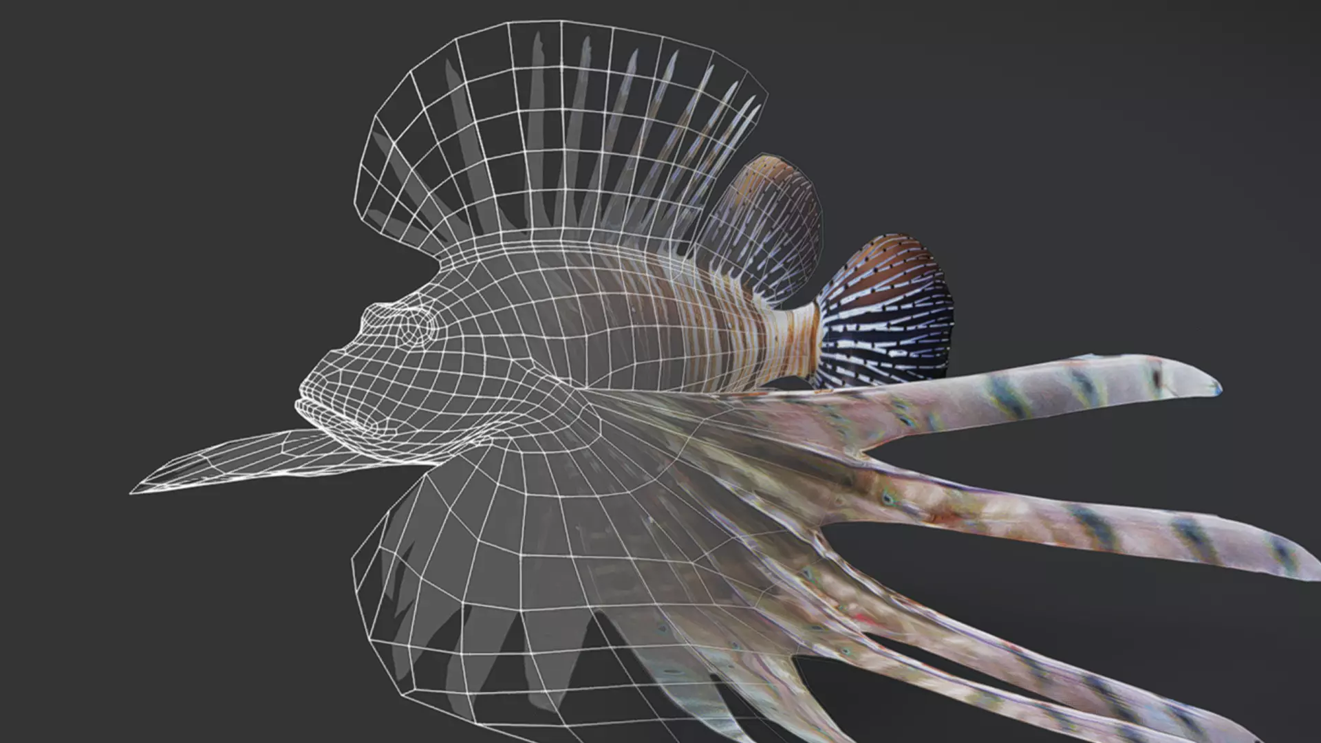 Predator Ocean Fish Collection 3D model_21