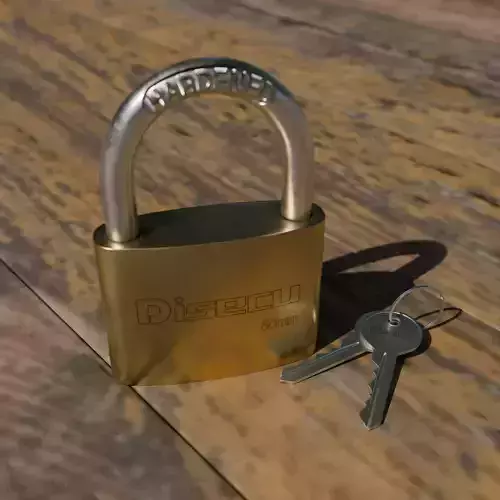 Disecu Padlock