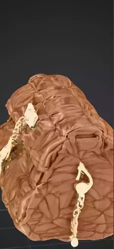 My way bag 3D print model