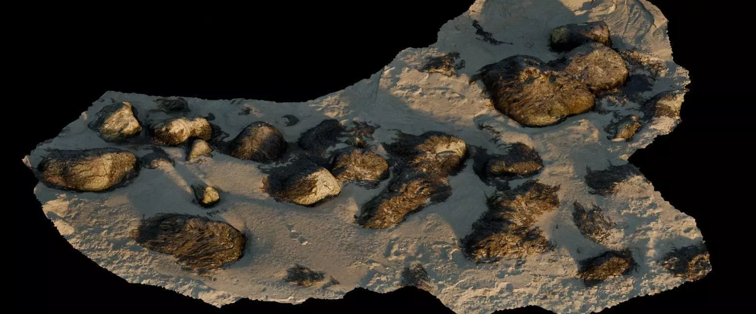 28 Photorealistic High Quality Beach Scans and Scene 3D model_7