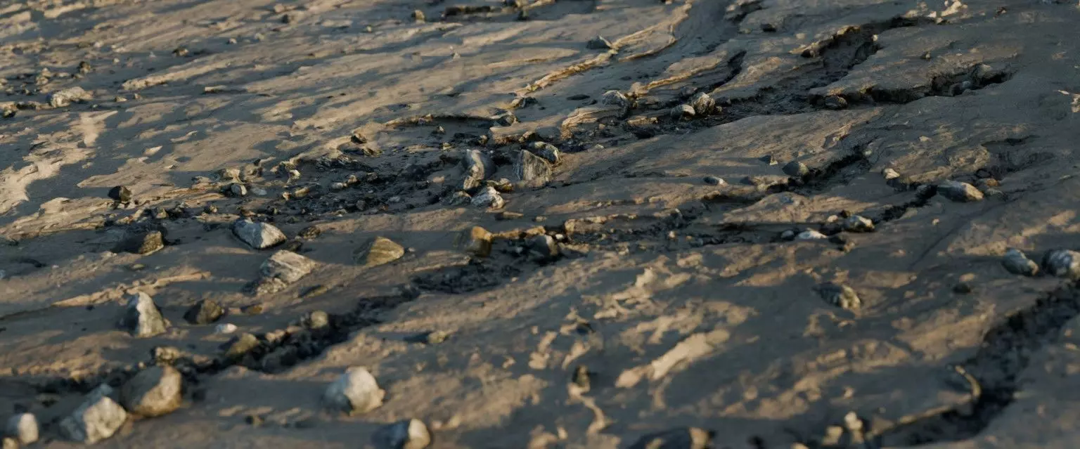 28 Photorealistic High Quality Beach Scans and Scene 3D model_9