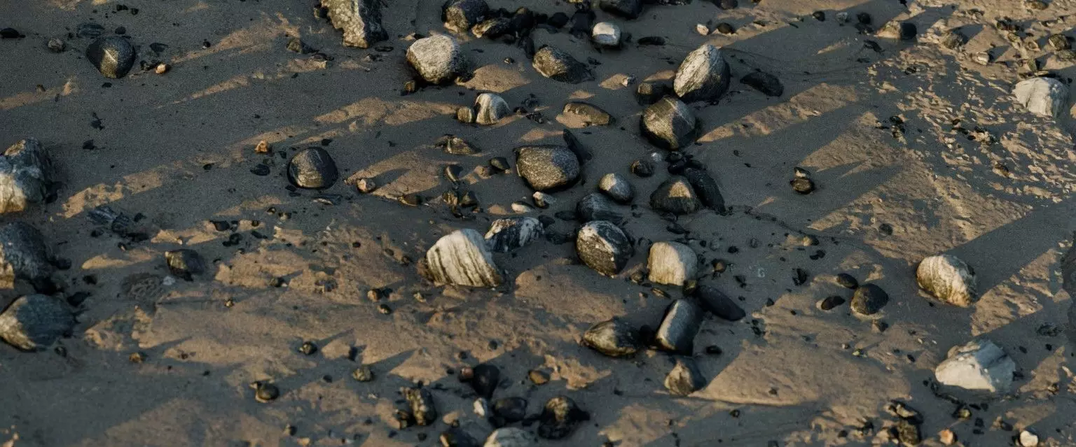 28 Photorealistic High Quality Beach Scans and Scene 3D model_0