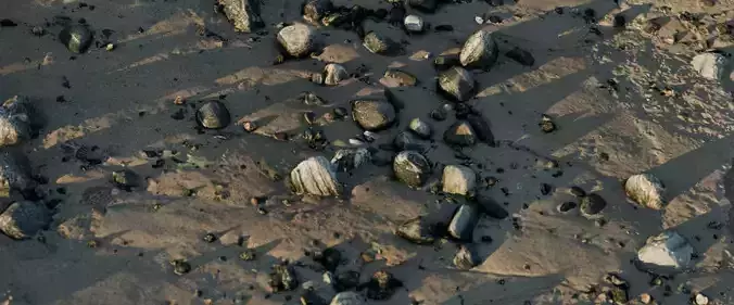 28 Photorealistic High Quality Beach Scans and Scene