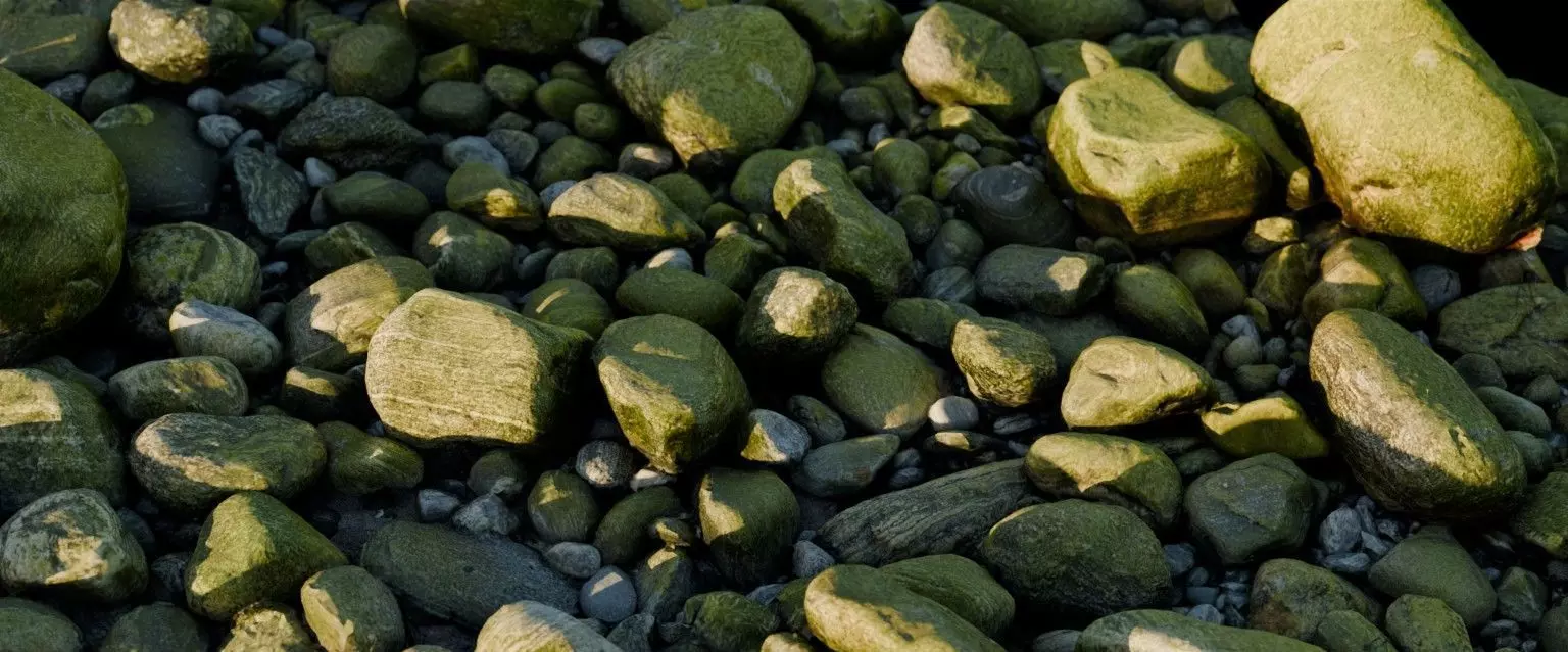 28 Photorealistic High Quality Beach Scans and Scene 3D model_12