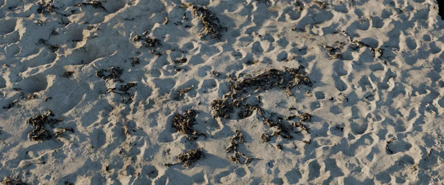 28 Photorealistic High Quality Beach Scans and Scene 3D model_6