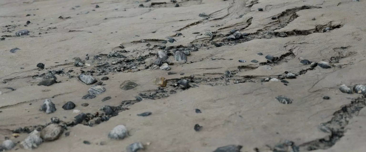 28 Photorealistic High Quality Beach Scans and Scene 3D model_4