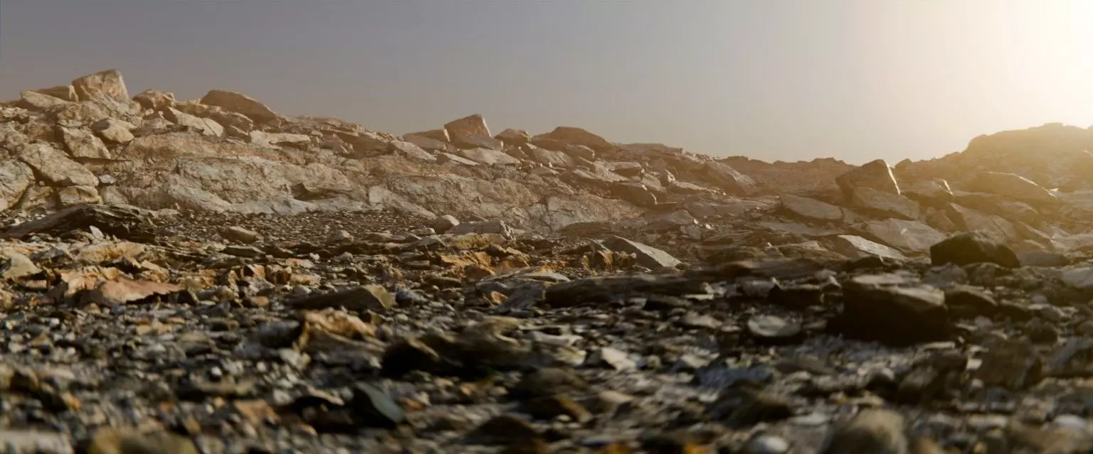 22 Photorealistic 3D Scans Of A Dry Lakebed and Scene 3D model_6