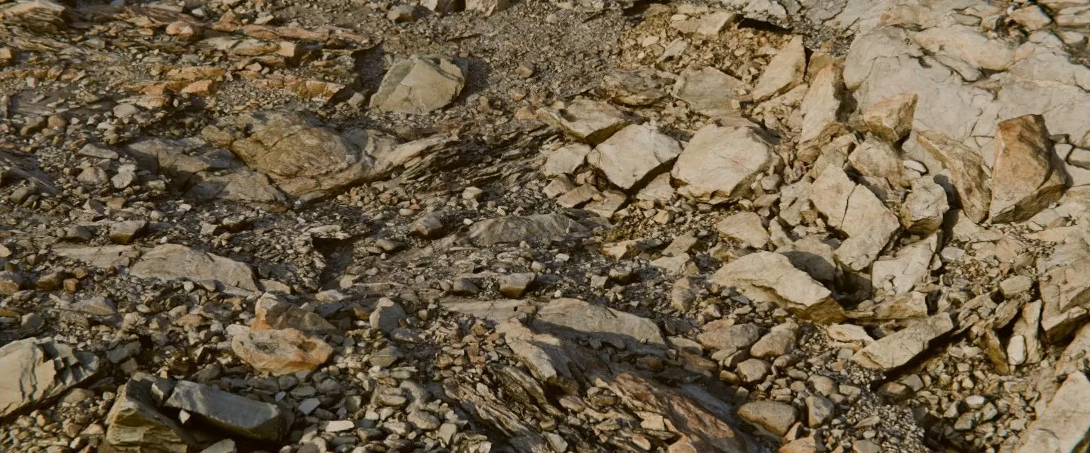 22 Photorealistic 3D Scans Of A Dry Lakebed and Scene 3D model_0