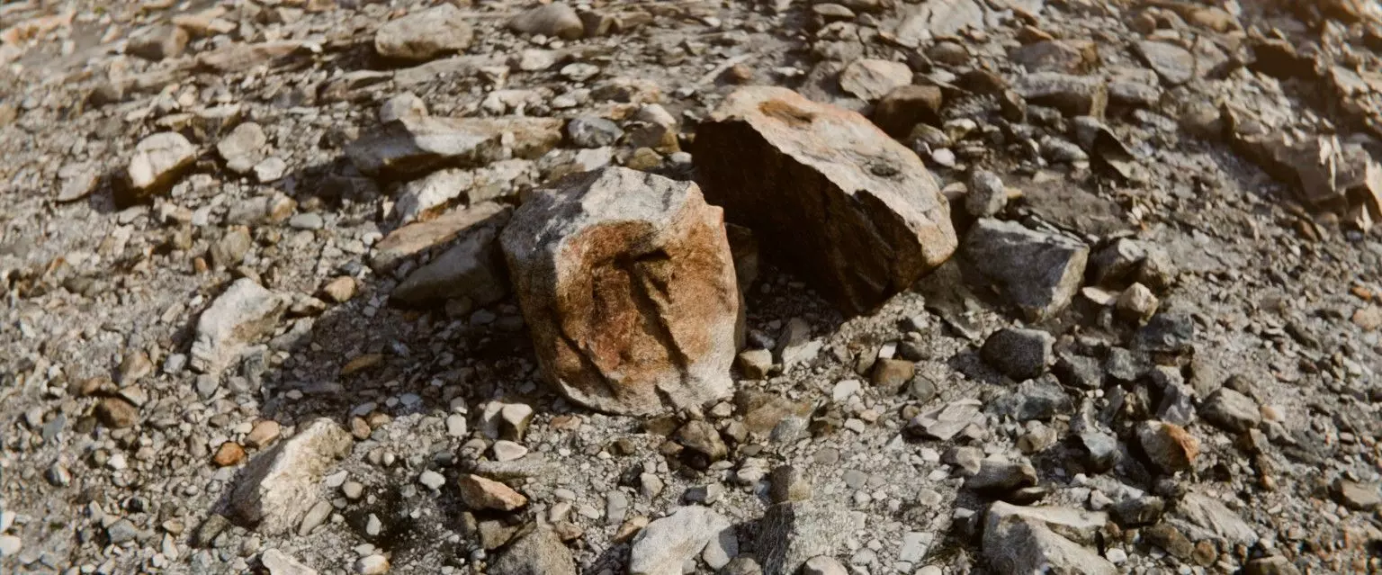 22 Photorealistic 3D Scans Of A Dry Lakebed and Scene 3D model_1